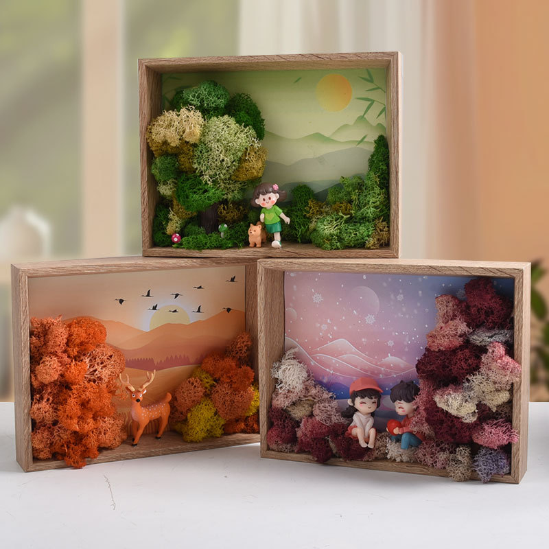 Kit d'art DIY aux algues marin - Plant Parent Gift Set avis et prix