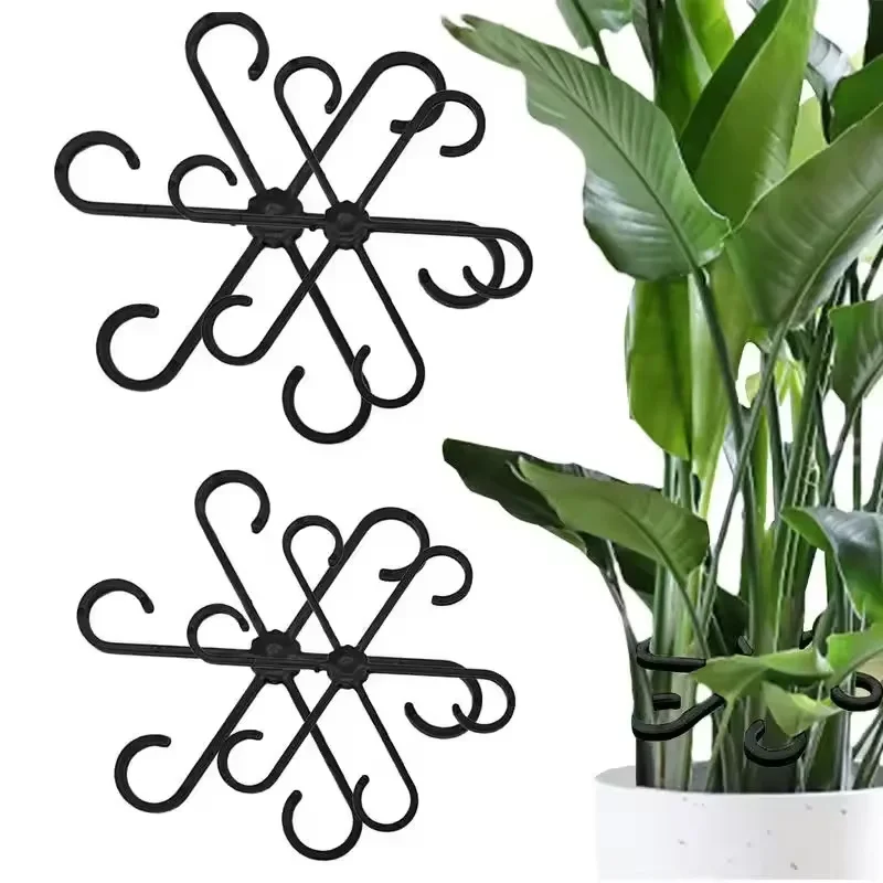 Supports de feuilles pour Aloc - Variegated Monstera Node avis et prix