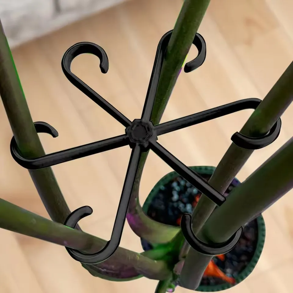 Supports de feuilles pour Aloc - Variegated Monstera Node avis et prix