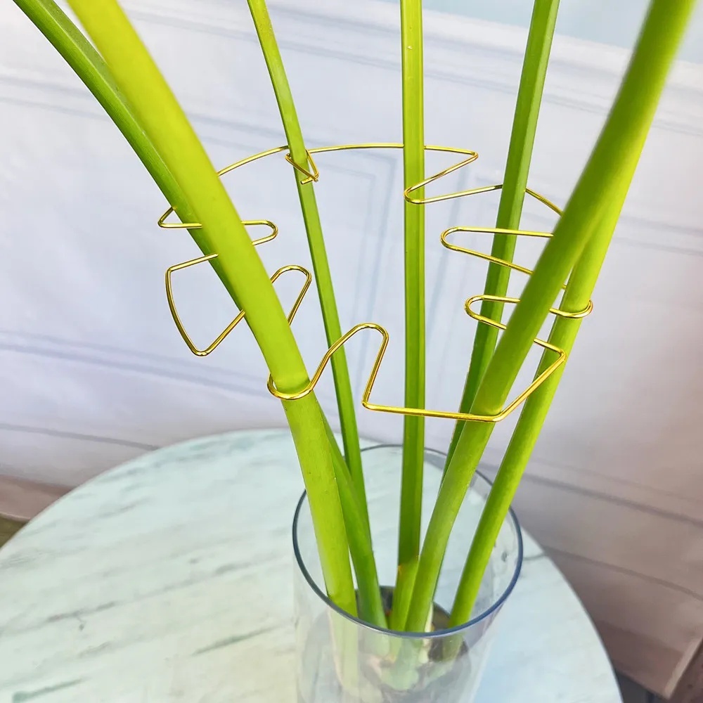 Support de plantes d'intérieur - Variegated Monstera Node avis et prix